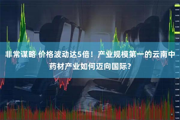 非常谋略 价格波动达5倍！产业规模第一的云南中药材产业如何迈向国际？