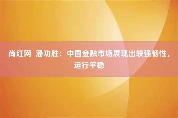 尚红网  潘功胜：中国金融市场展现出较强韧性，运行平稳